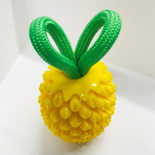 Đồ chơi thông minh SmartToys